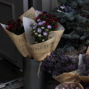 岳⋯好舒服⋯快⋯的有乱文
